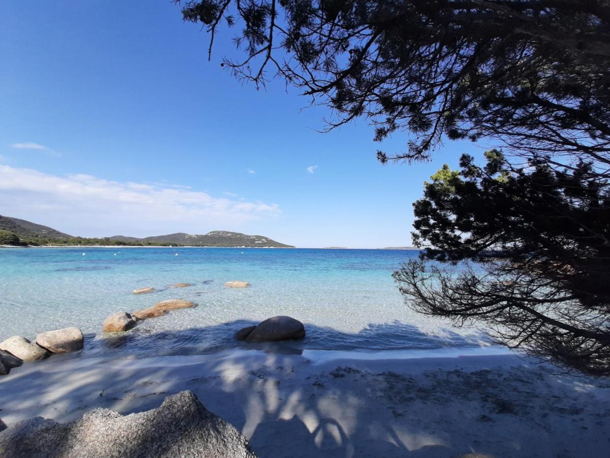 Cyrnea - Adults Only Bed & Breakfast Porto-Vecchio (Corsica)