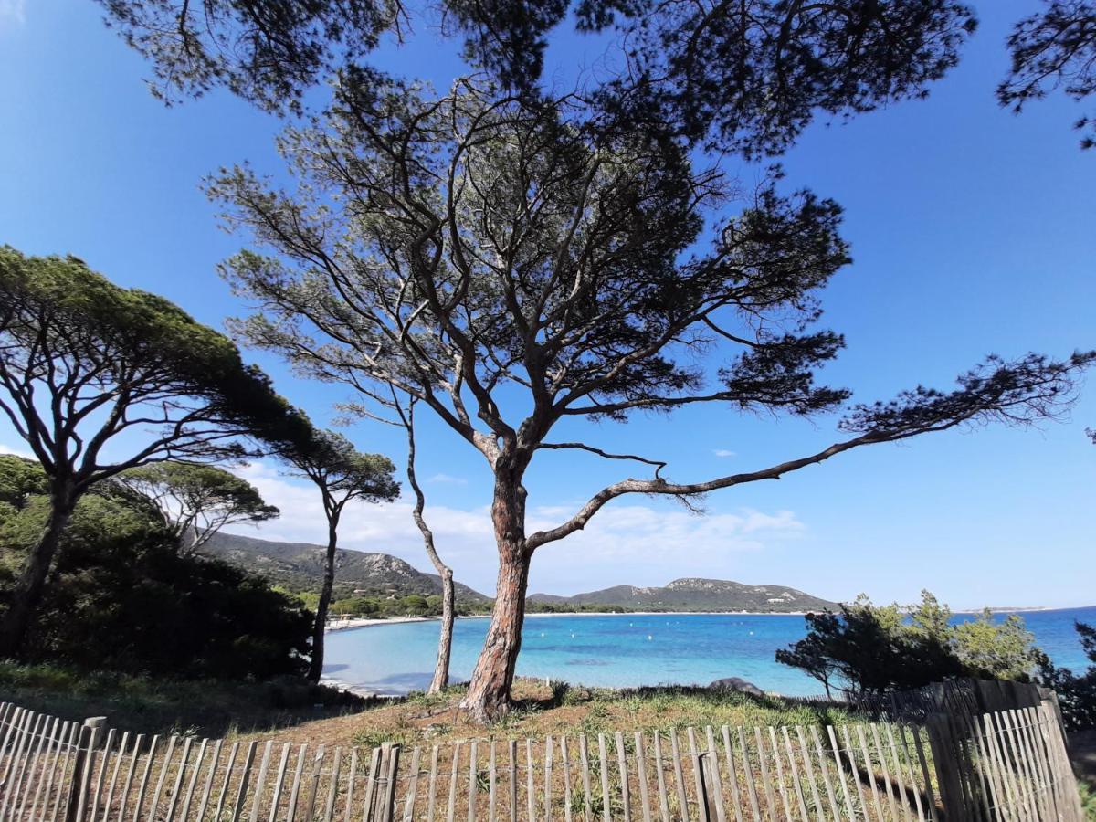 Cyrnea - Adults Only Porto-Vecchio (Corsica)