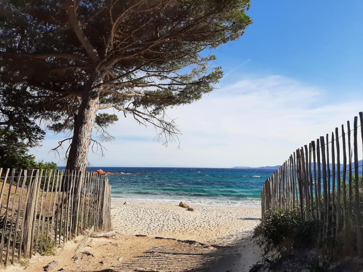 Cyrnea - Adults Only Porto-Vecchio (Corsica)